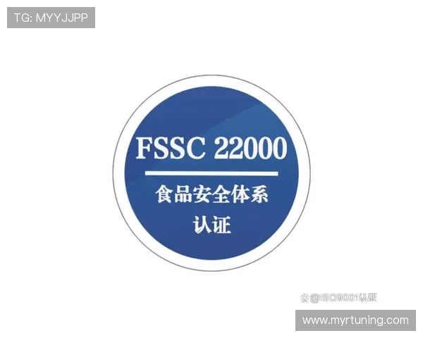 凯发娱乐网址官方地址官方入口安全验证流程，保障您的账户安全